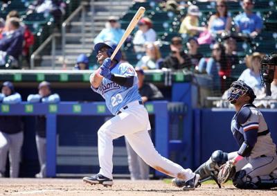 Buffalo Bisons (copy)