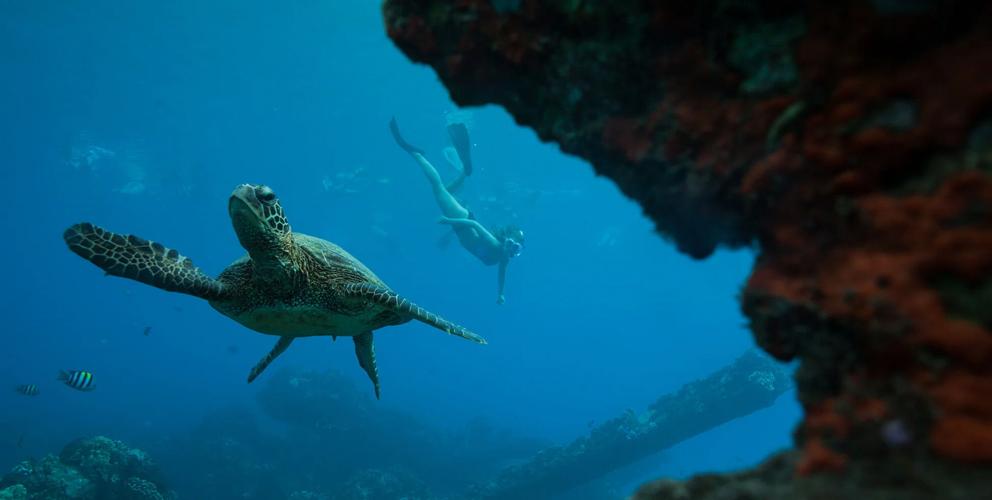 UnCruise Hawaiian Seascapes