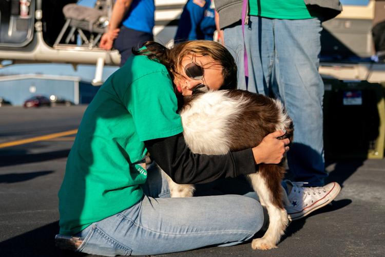 Pet Rescue Flights