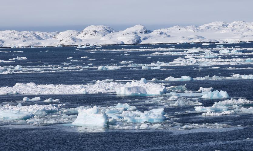 FILE PHOTO: A view of ice floating in the fjord of Greenland's capital Nuuk