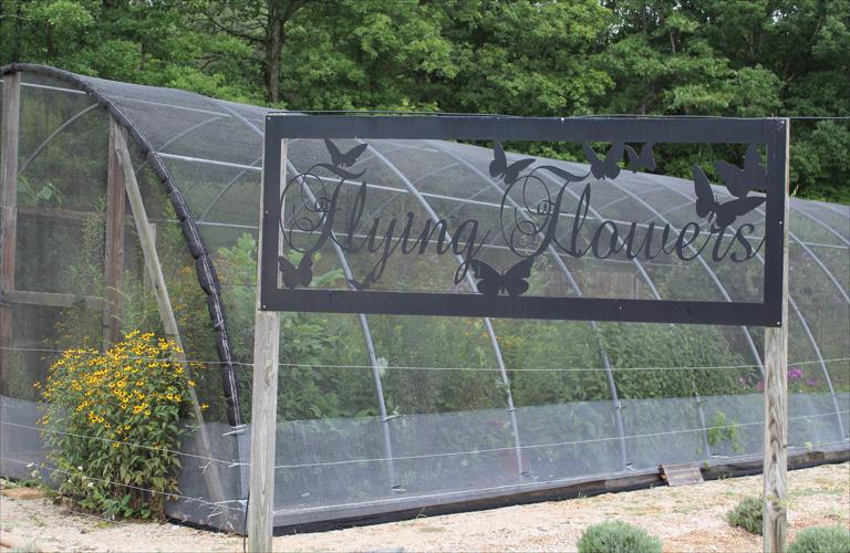 SMY 0810 BR butteryfly house.jpg