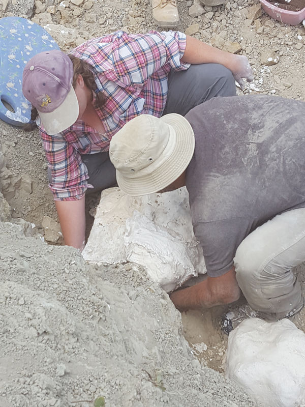 dinosaur dig in wyoming