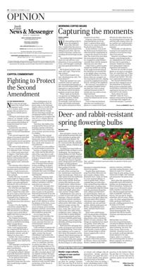 Page A4