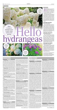 Page B2