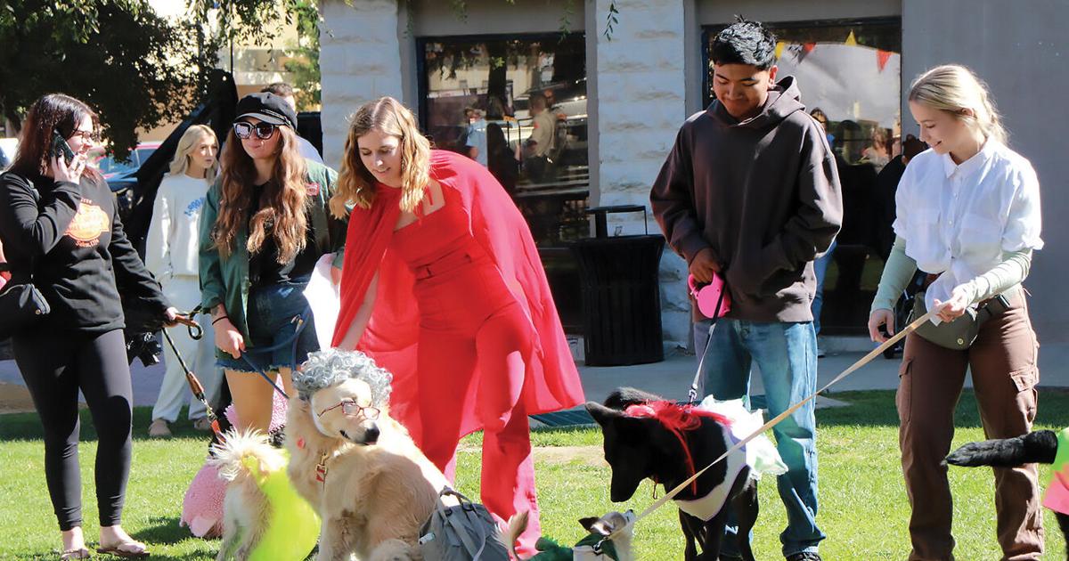Love Your Pet Day called a big success | News