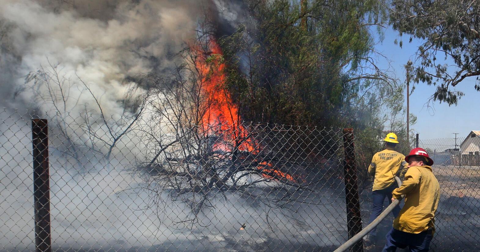 Fire spreads to trees, threatens structures - Vimarsana News