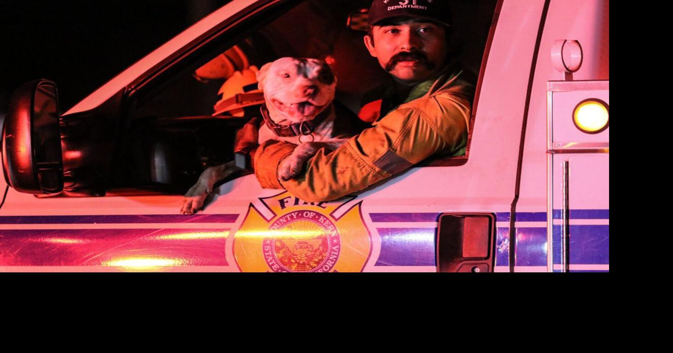 Firefighters rescue homeless, pets from fast-moving grass fire | News ...