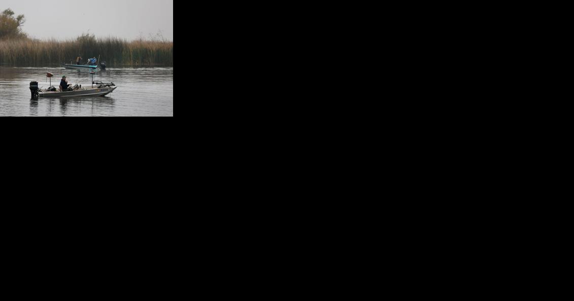 Advisory issued on eating fish from Lake Webb - Vimarsana News