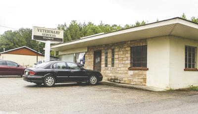 Small business spotlight: Britt Veterinary Services
