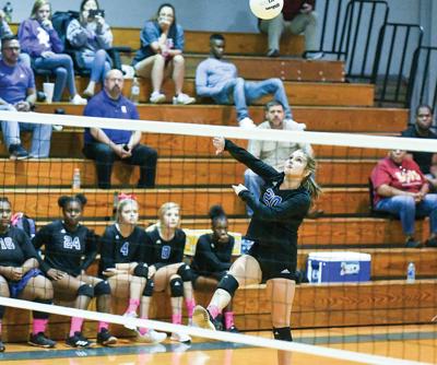 1024-Reel volleyball11.jpg