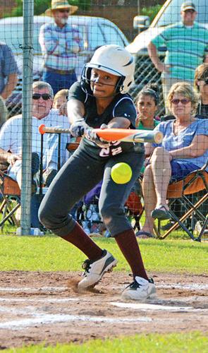 2014 All-Area Softball Team