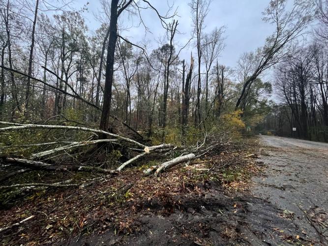 Storm Damage 2
