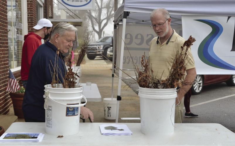 0303 Arbor Day1.jpg