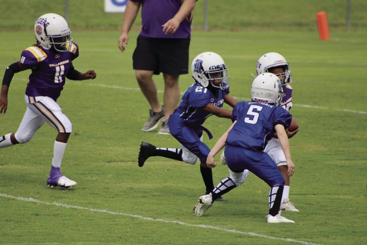 0908 lil league jamboree 5.jpg