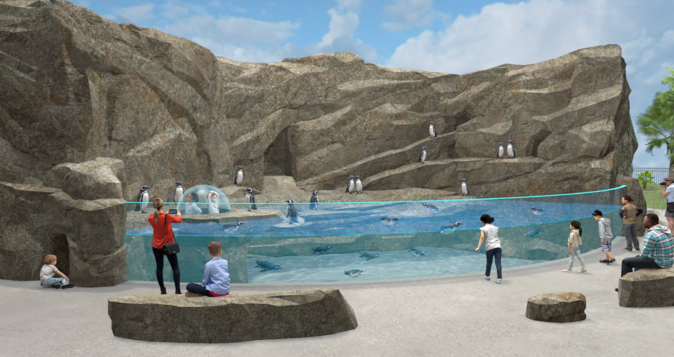Florida Aquarium plans 40M expansion with puffin, sea lion habitats News