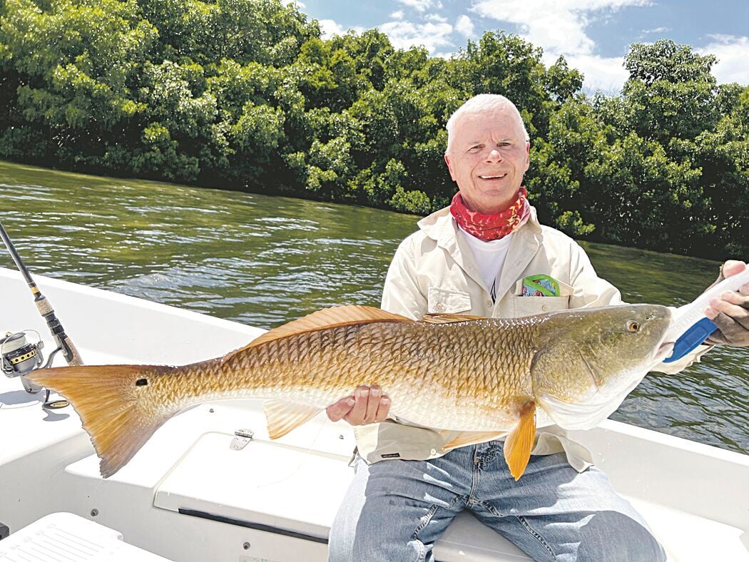 The Tampa Bay Fishin' Report: Big reds biting near the mangroves, Outdoors