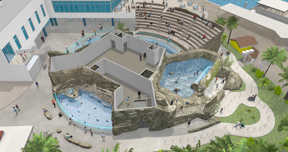 Florida Aquarium plans 40M expansion with puffin, sea lion habitats
