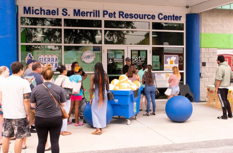 Overcrowding at the Hillsborough Pet Resource Center continues News