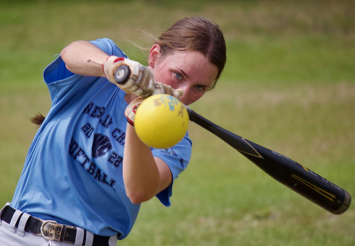 Baseball/Softball Order Forms - Melanie Johnson Photography