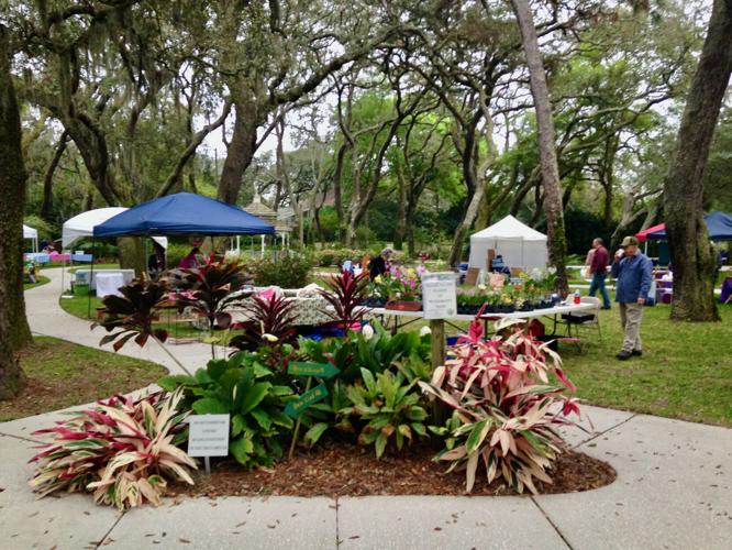 City Chalk Fest will feature art and the green thumbs of the Temple