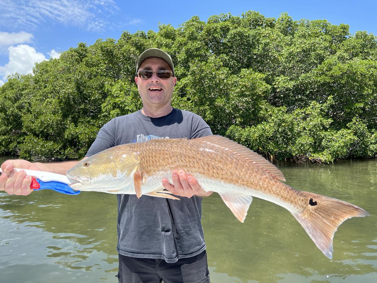 The Tampa Bay Fishin' Report: Anglers scoring plenty of Spanish