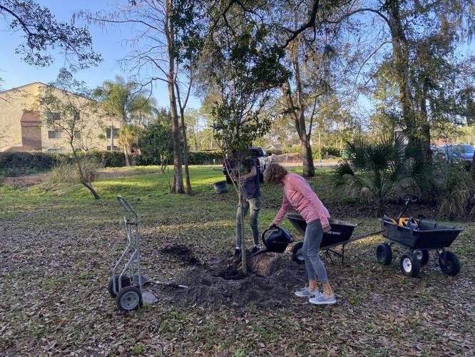 VISTA Gardens celebrates Florida Arbor Day