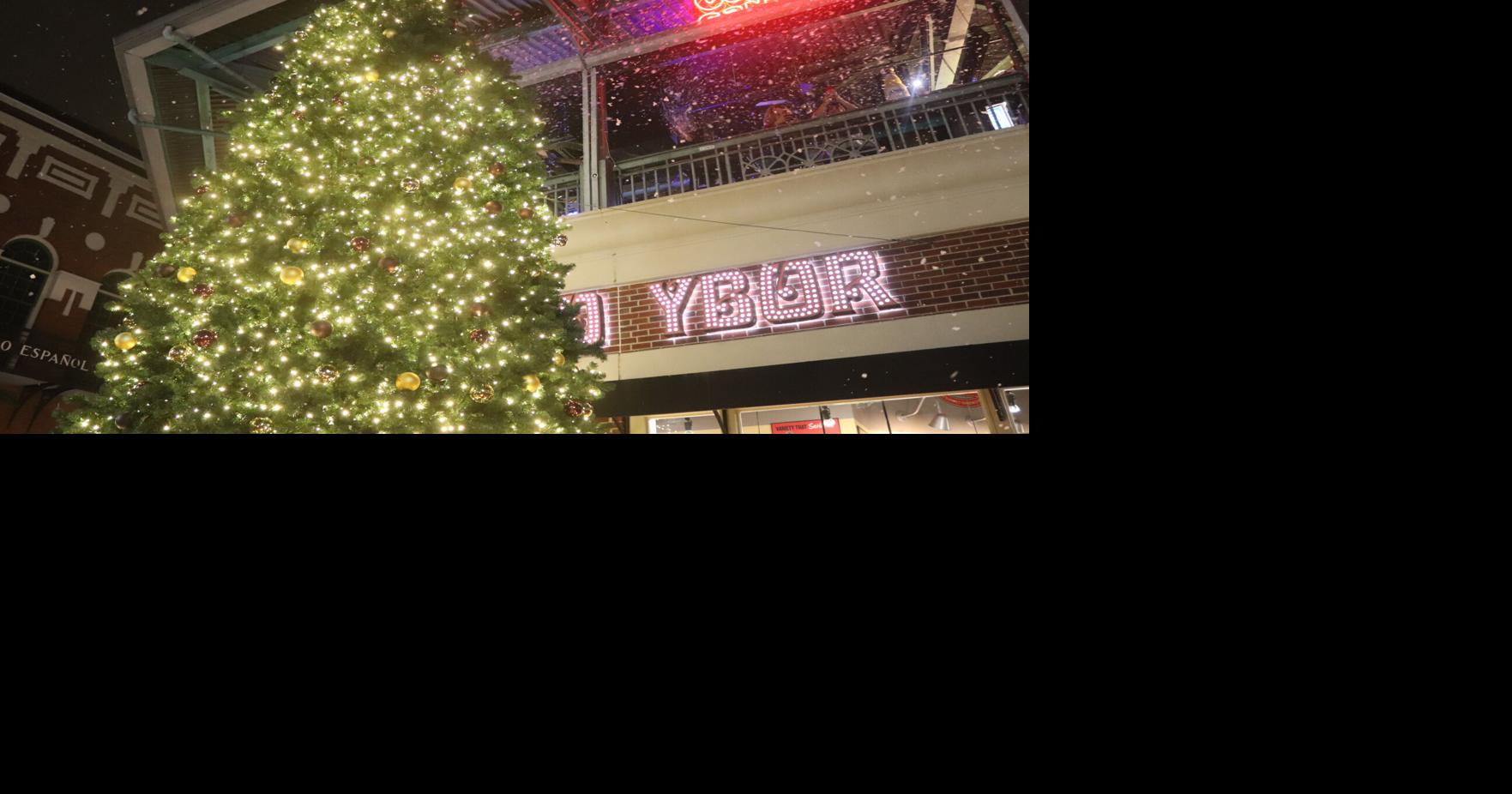 Ybor City tree lighting ignites holiday spirit News