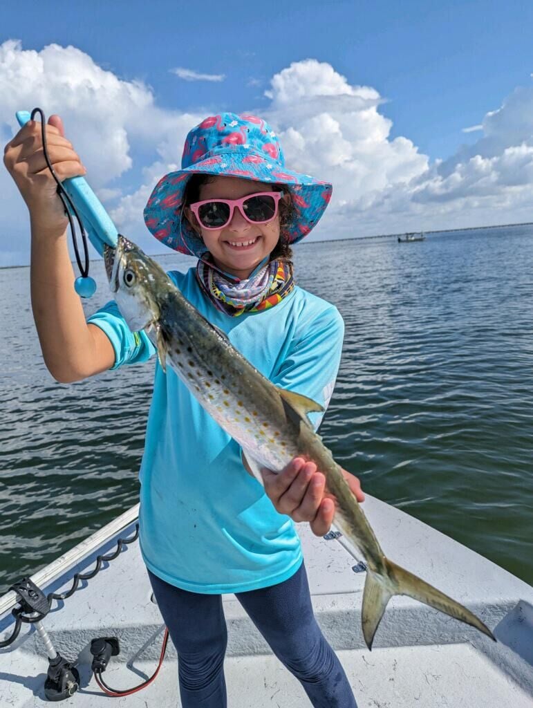 Докладът Tampa Bay Fishin: MangroveДокладът Tampa Bay Fishin: Mangrove  