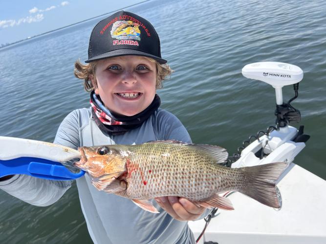 The Tampa Bay Fishin' Report: Bay bridges a good bet for reliable