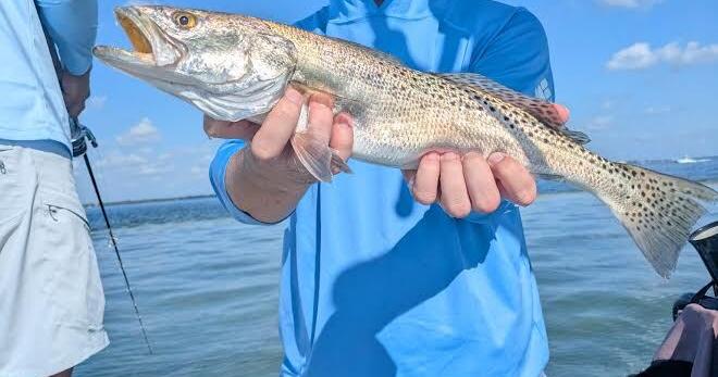 The Tampa Bay Fishin’ Report: Spanish mackerel bite is on