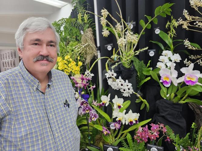 Tampa orchid expert’s passion for plants, commitment to community