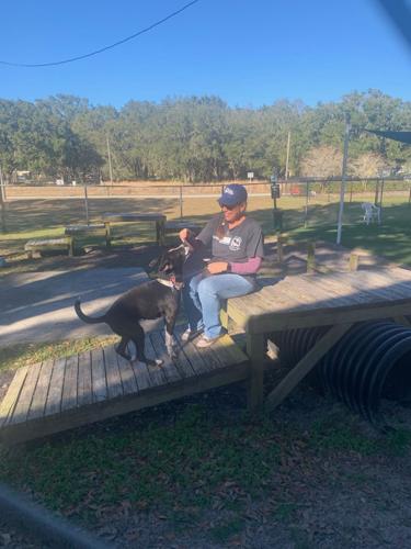 Pasco's animal shelter cares for all kinds of animals | Pasco County | Pasco's animal shelter cares for all kinds of animals | Pasco County |
