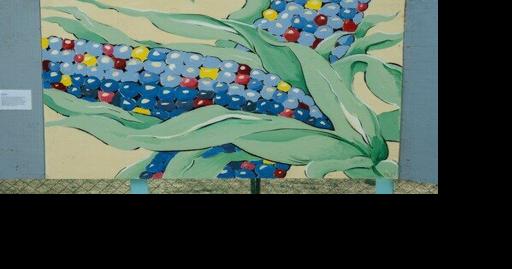 Community collaboration brings pop-up mural gallery to Taos Plaza - Vimarsana News