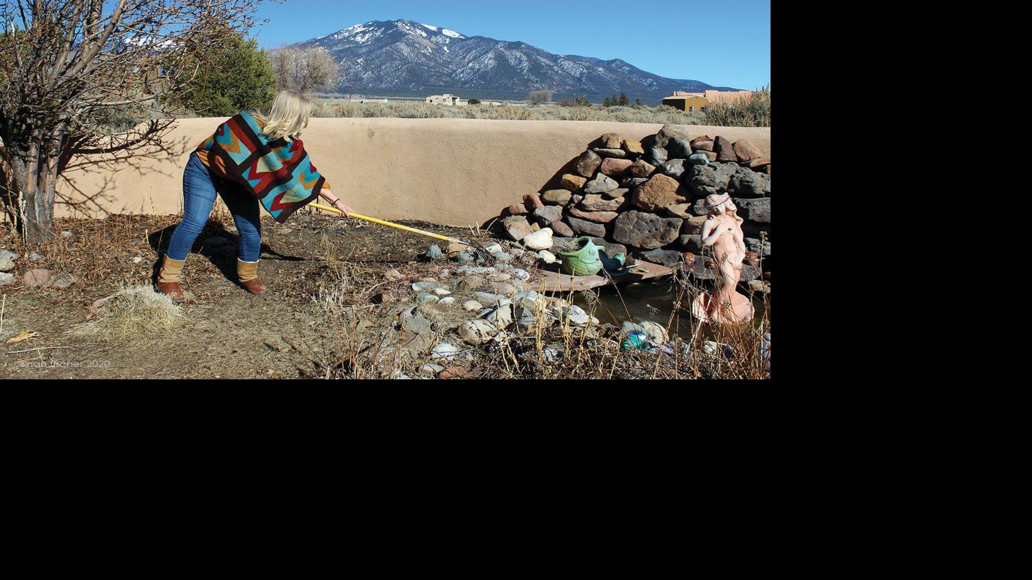 Spring Winds And Seed Starting Home And Garden Taosnews Com