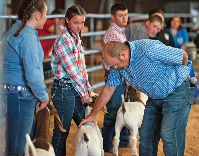 Taos County Fair Open Contests Local News