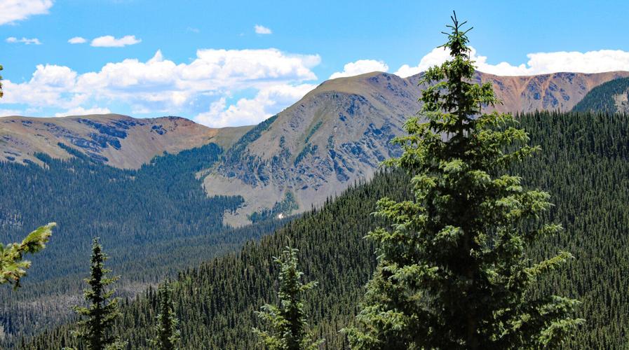 A jewel of a hike south of Red River Environment