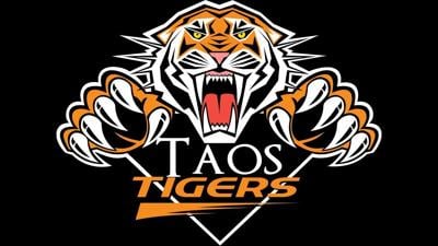 TMS Tigers logo