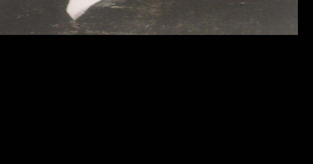 Taos Revolt Tradiciones / Leyendas