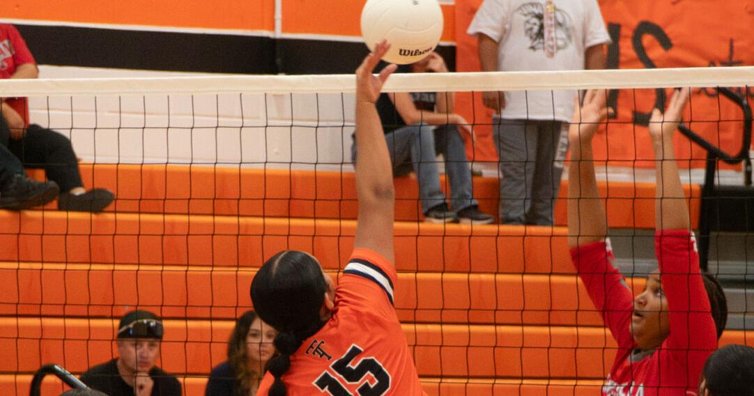 Lady Tigers fall to Lady Spartans
