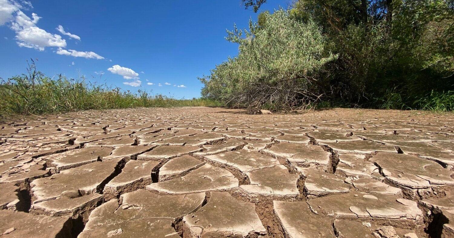 El Niño's arrival could spell meager monsoons, hotter summer for Northern New Mexico | Environment - Vimarsana News