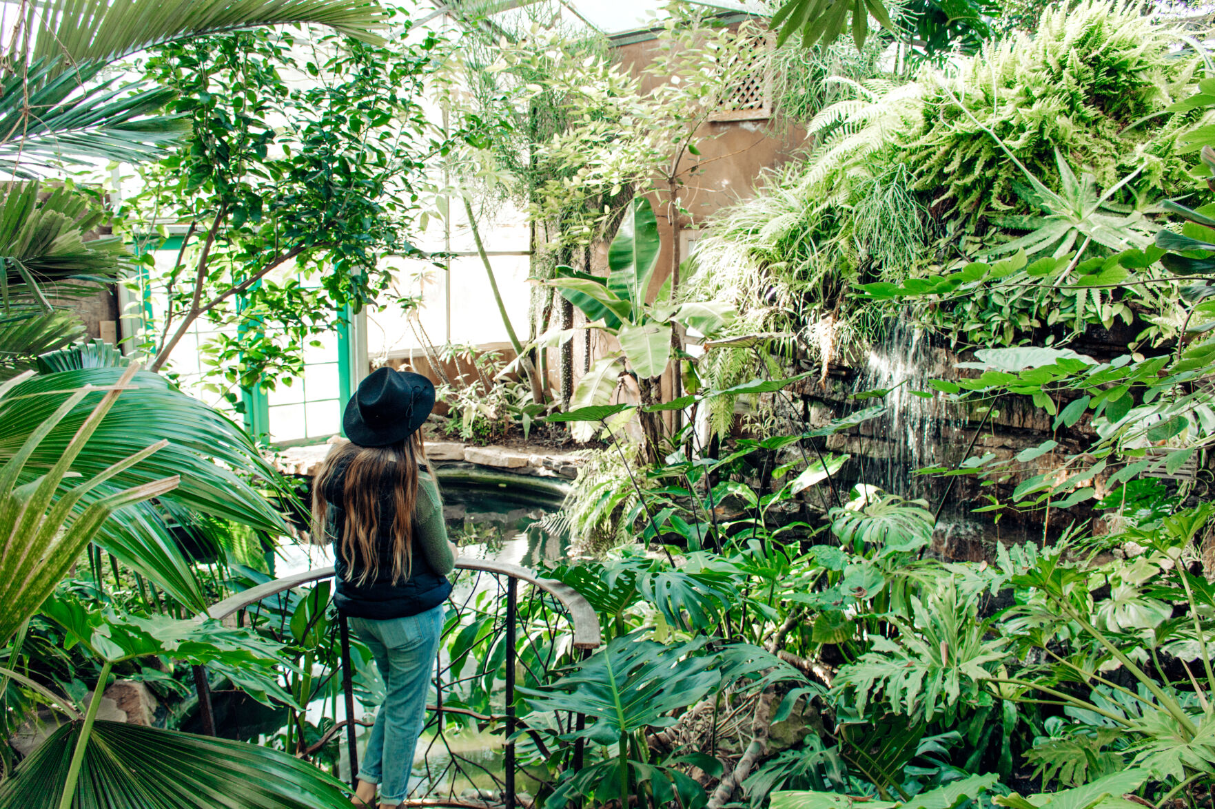 Health, Wellness & Fitness