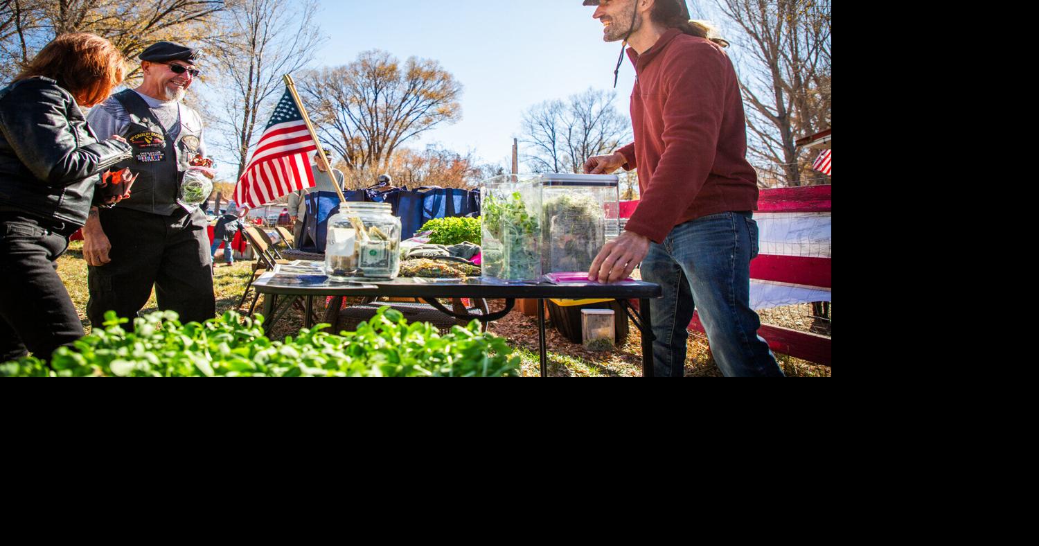 Taos, a place where veterans feel safe Local News