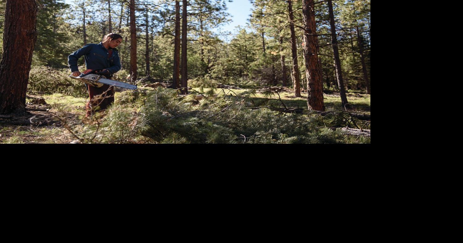 Planning to 'survive and thrive' | Environment | taosnews.com