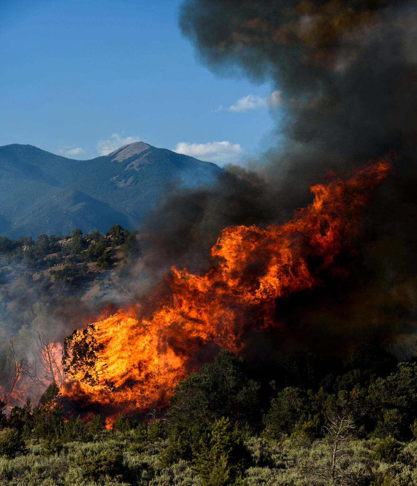 'Highrisk' wildfire under control near Witt Road, Taos Canyon Environment