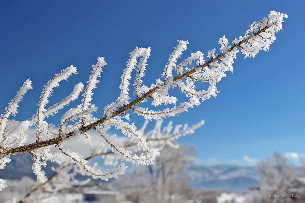 Banish Winter Woes With A Vibrant Snowy Landscape Home And