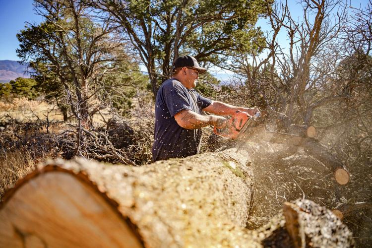 Firewood dealing is tough, but profitable business in Northern New ...