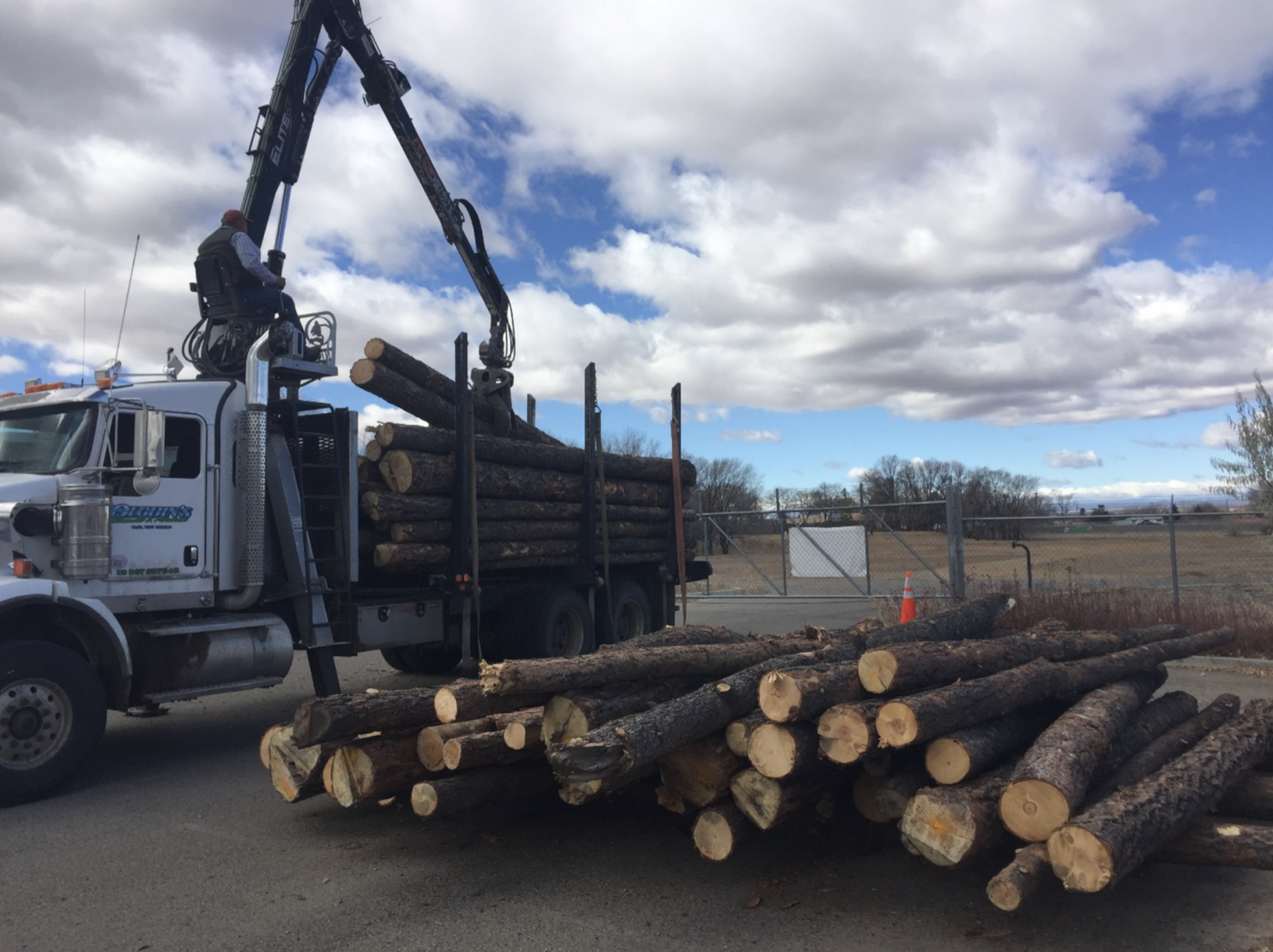 Sheriff's Office delivers wood for 'Senior Safe' program