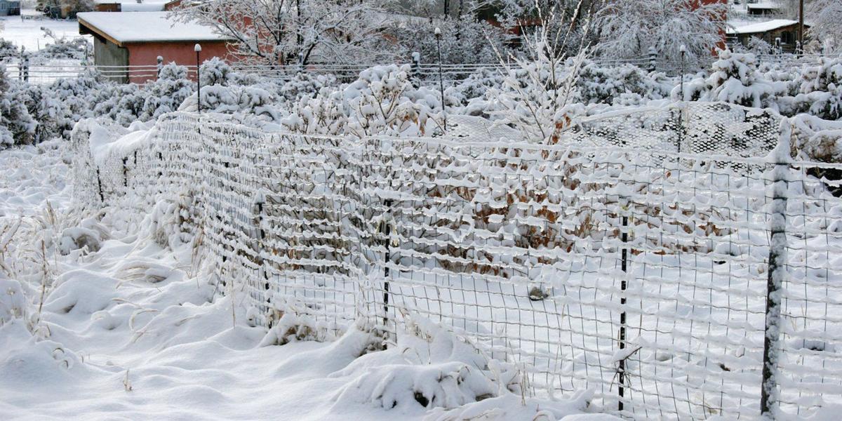 Banish Winter Woes With A Vibrant Snowy Landscape Home And