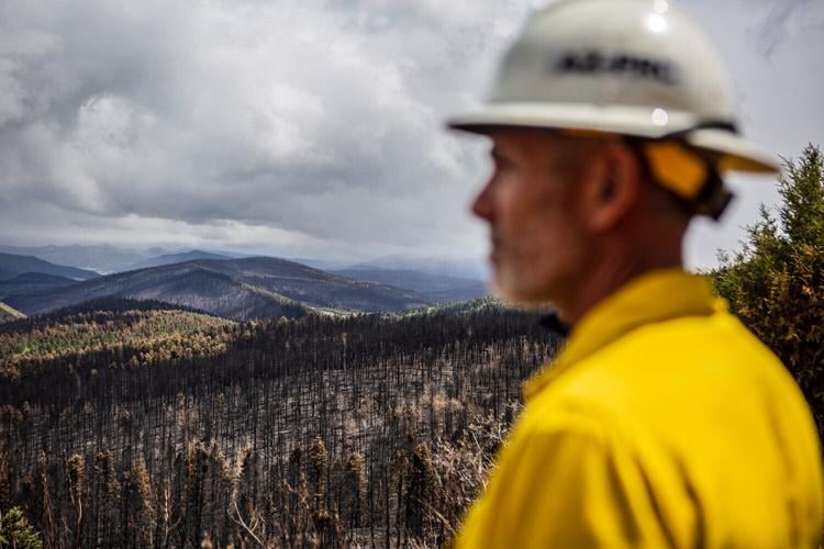 Mora to become reforestation hub | Environment | taosnews.com