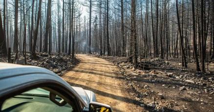 Feds pledge $2.5B to expand access to wildfire compensation